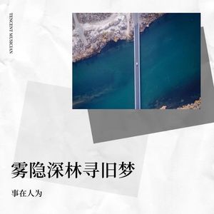 雾隐深林寻旧梦封面