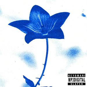 Slayer (feat. keyomani) (Explicit)