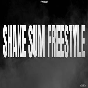 SHAKE SUM FREESTYLE (Explicit)