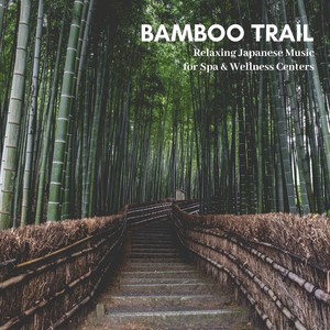 Bamboo Trail: Relaxing Japanese Music For Spa & Wellness Centers