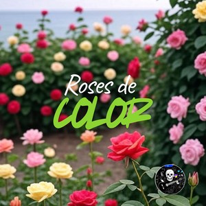 ROSES DE COLOR
