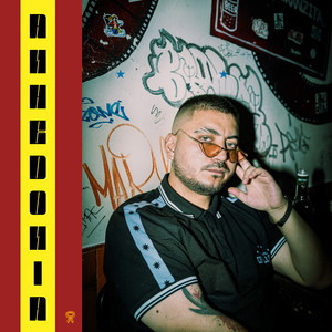 ANHEDONIA (Explicit)