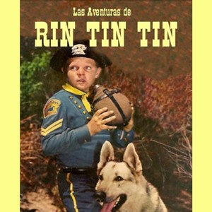 The Adventure Of Rin Tin Tin The Deserter 1954 -1959 Tv Series Sigla