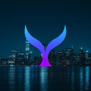 We own the night (feat. Annie Ray)