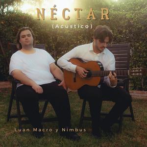 Néctar (Acústico) (feat. Nimbus)