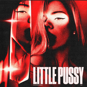 Little Pussy