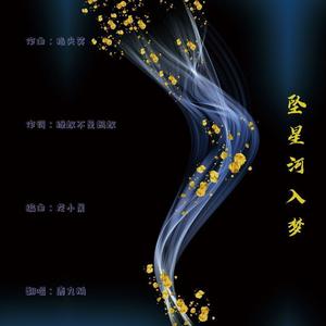 坠星河入梦