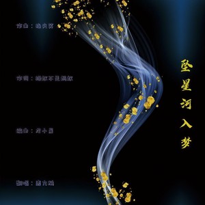 坠星河入梦