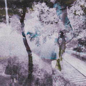 love is a scam (feat. .gav!) (Explicit)