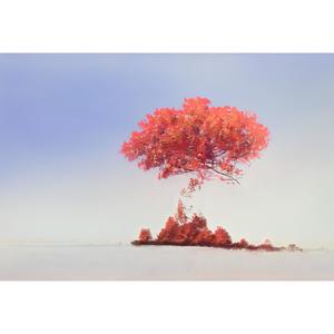 sLime widdeM (Explicit)