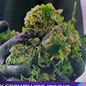 Brip (feat. Famo banga) (Explicit)