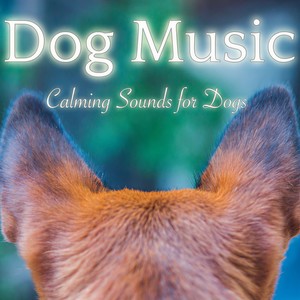 Background Music for Dogs