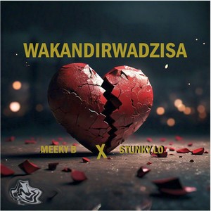 Wakandirwadzisa