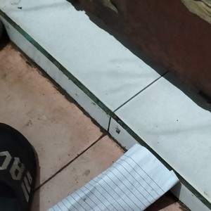 Langkah bebas