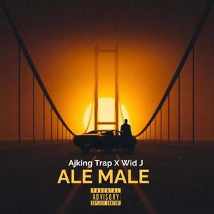 Ale Male (feat. Wid J. Infini)