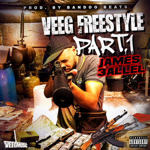 Veeg Freestyle Pt. 1 (Explicit)