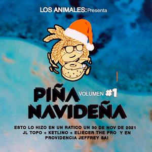 PIÑA NAVIDEÑA Vol. 1