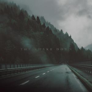 The Shake Down (Explicit)