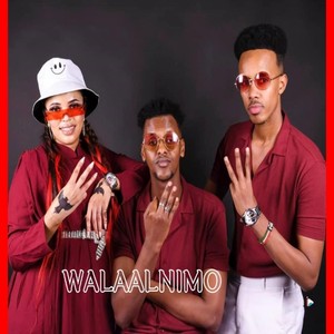 Walaalnimo (feat. Ali Zaki & Hibaaq Gobaad)