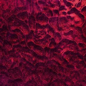 gimmie a sign (feat. Nkiru Emelle) (Explicit)