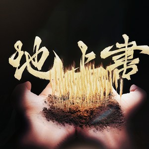 地上书 ——电视剧《生万物》印象曲-雅卿&张东东