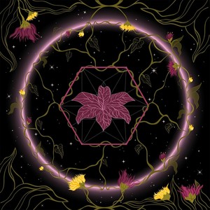 Aparezco y Desaparezco