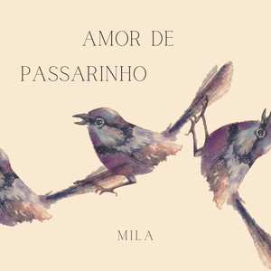 Amor de Passarinho