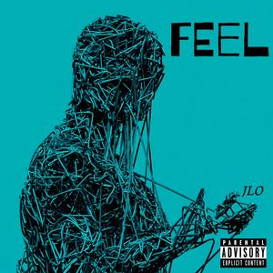 FEEL (Explicit)