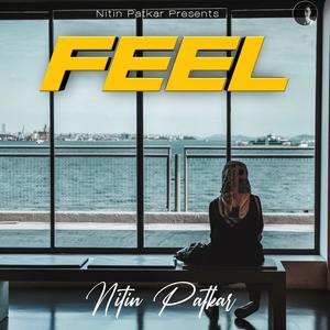 Feel (Remix)