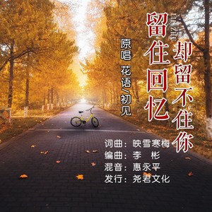 留住回忆却留不住你