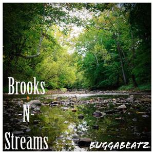 Brooks N Streams