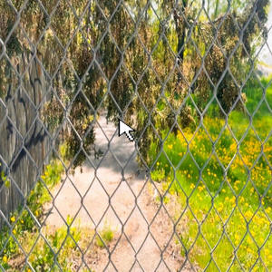 AS DUMB AS THINGS CAN BE