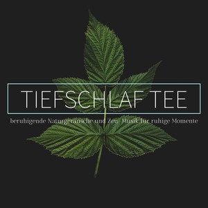 Tiefschlaf tee: beruhigende Naturgeräusche und Zen-Musik für ruhige Momente