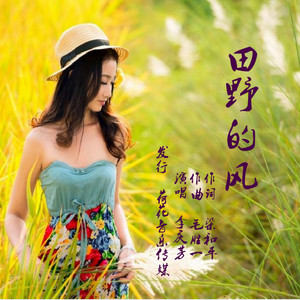 田野的风封面