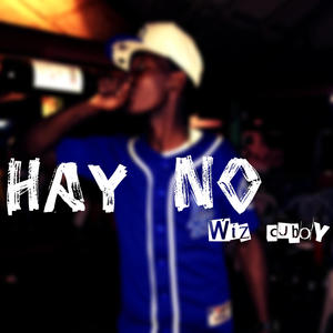 Hay no