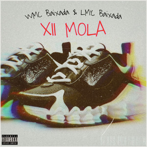 12 MOLA (Explicit)