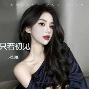 只若初见
