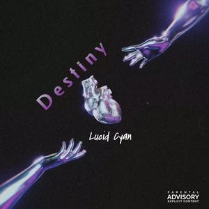 Destiny (Explicit)