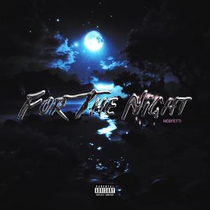 For The Night (feat. BigB) [Explicit]