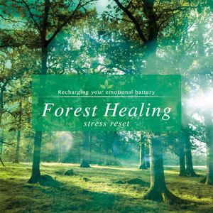 Forest Healing - Stress Reduction