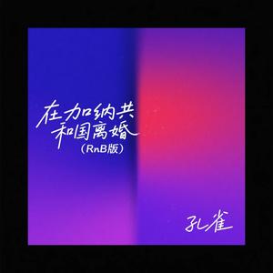 在加纳共和国离婚-孔雀