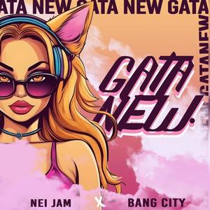 Gata New (feat. Bang City)