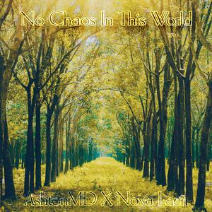 No Chaos In This World (feat. Nova Laen) (Explicit)