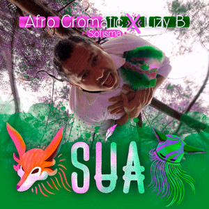 Súa