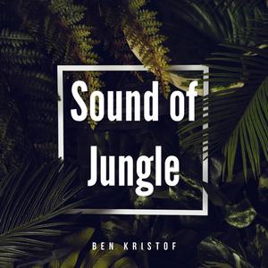 Sound of Jungle