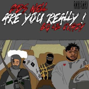 Are You Really?! (feat. PDS Nell) [Explicit]