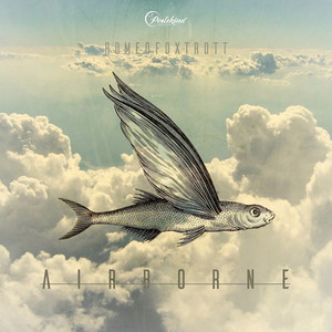 Airborne (Popp & Popp Remix)