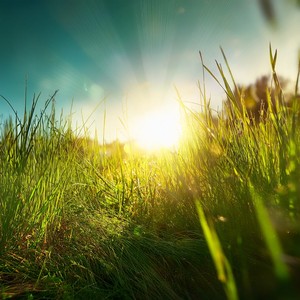 A Breath Between Thoughts