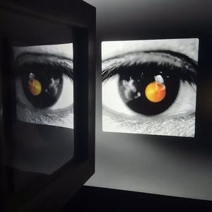 请你看着我的眼睛