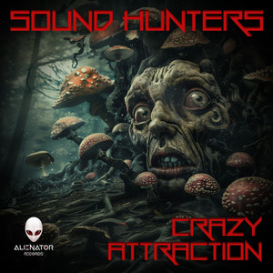 Crazy Attraction